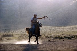 Karaman’da yılkı atları yakalanmaya başladı