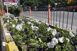 Ermenek Belediyesi Mevsimlik Çiçek Ekimine Başladı