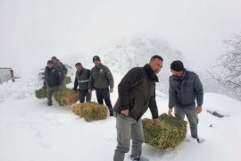 Karaman’da yaban hayvanlarına yem desteği