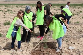KYK Öğrencileri 300 Fidanı Toprakla Buluşturdu