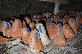 Mağarada üretilen peynir yıllık 3.5 milyon lira gelir sağlıyor