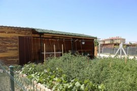 Belediye Hobi Bahçeleri Vatandaşa Nefes Aldırıyor