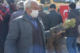 Ereğli Belediyesi Vatandaşa 30 Bin Fidan Dağıttı