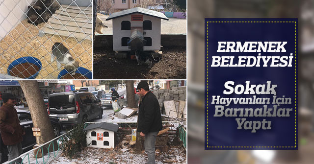 Ermenek Belediyesi Sokak Hayvanları İçin Barınaklar Yaptı