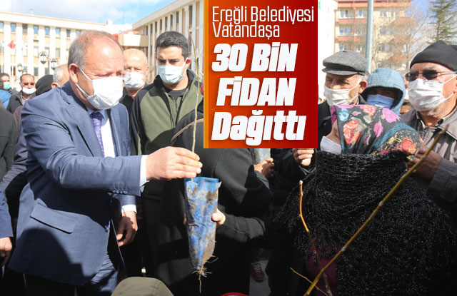 Ereğli Belediyesi Vatandaşa 30 Bin Fidan Dağıttı